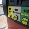 International Biodiesel Day