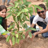 Arbor Day in Pakistan