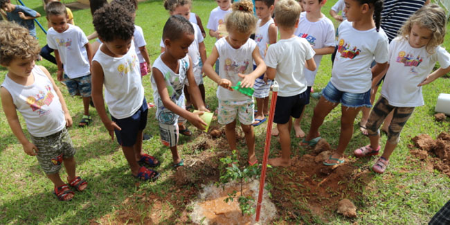 Событие 21 сентября - День посадки деревьев в Бразилии