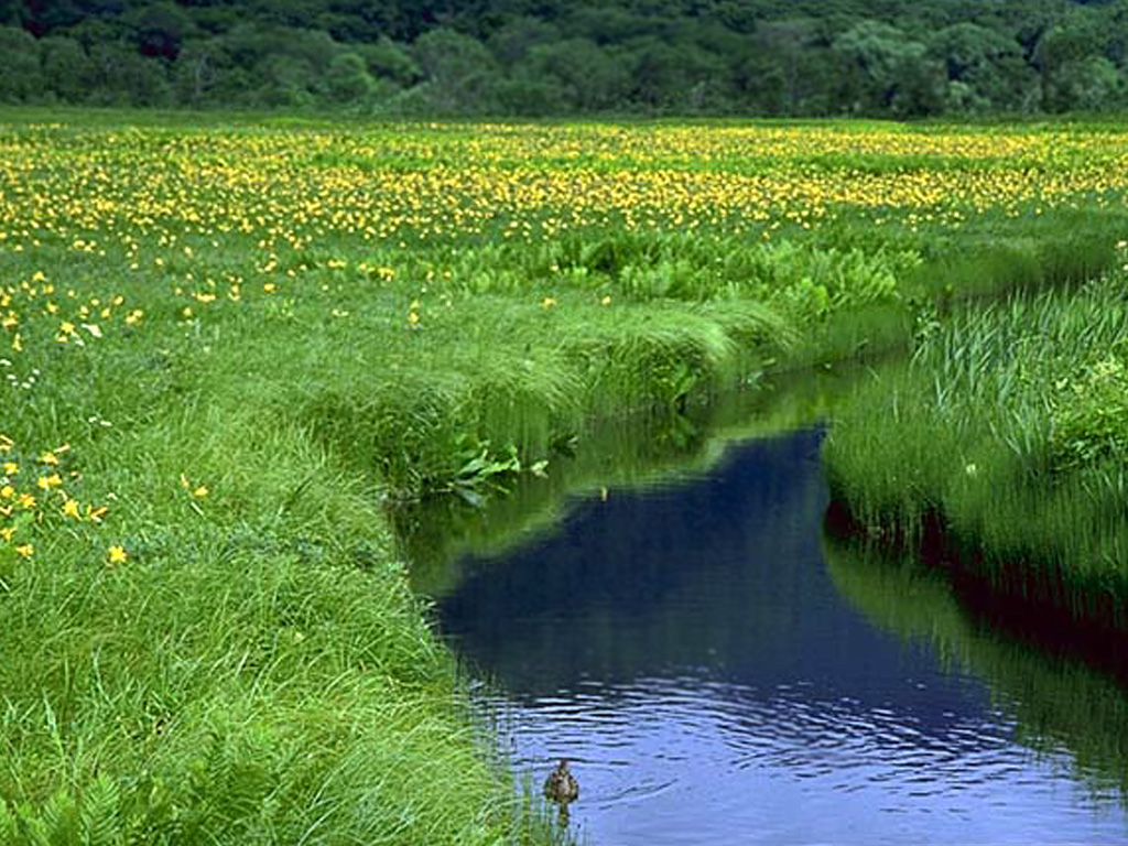 Природные воды и водные объекты